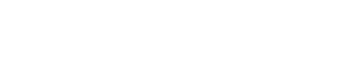 PROMISE